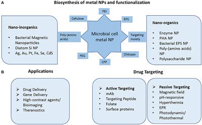 Microbial Fabricated Nanosystems: Applications in Drug Delivery and Targeting